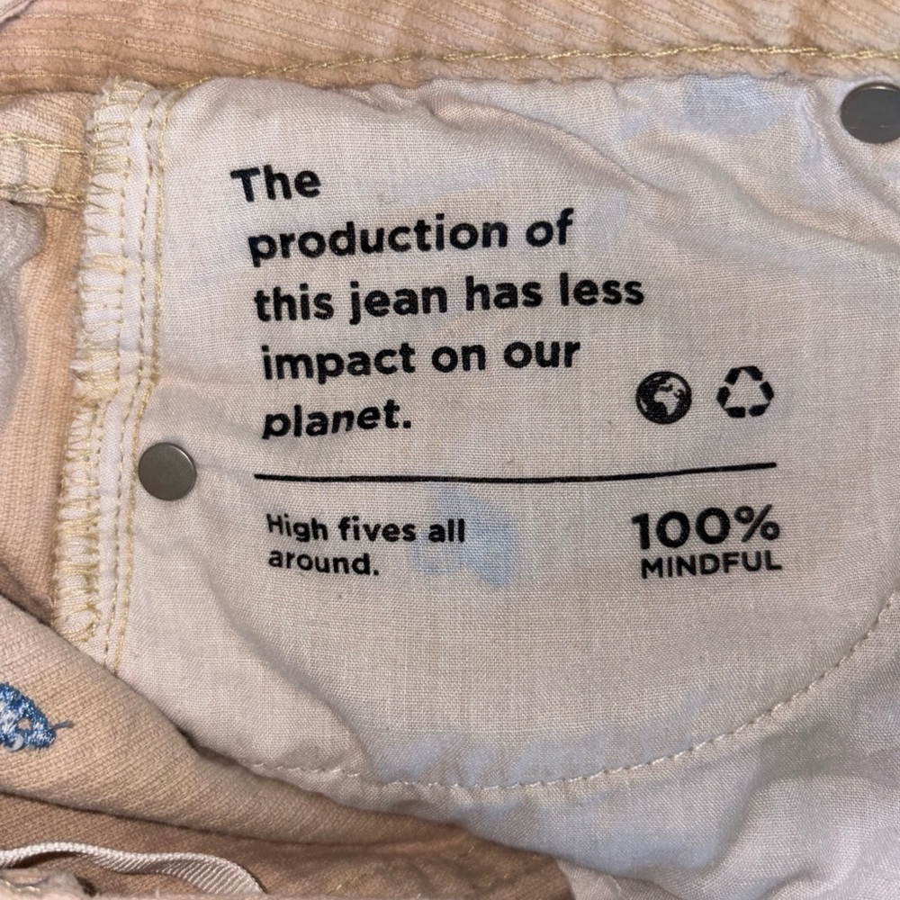 PacSun Light Tan Corduroy Pants with Blue Accents - Picture 10 of 12